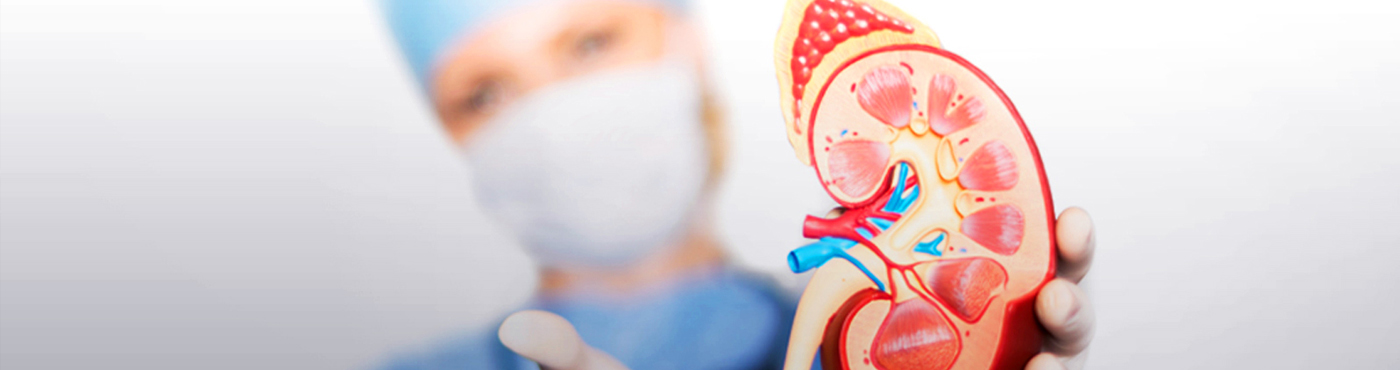 Nephrology